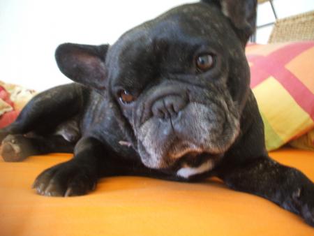 coch0n ( tyson)